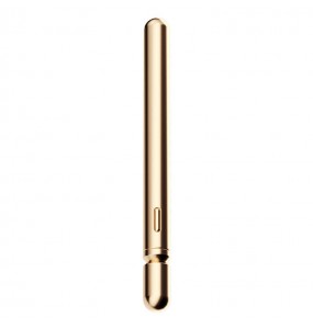 MizzZee - Pleasure Anal Vibrating Wand (Chargeable - Champagne Gold)